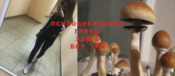 a pvp Алексин