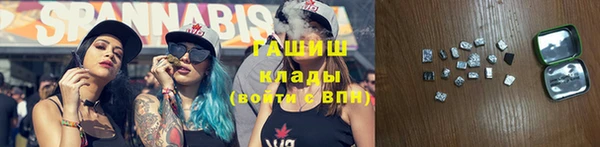 сатива Алзамай