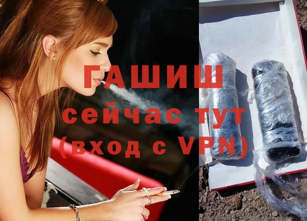 сатива Алзамай