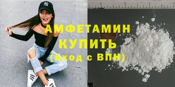 сатива Алзамай