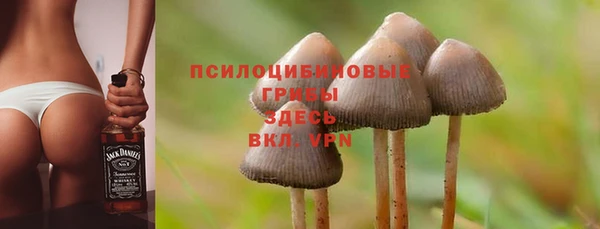 a pvp Алексин
