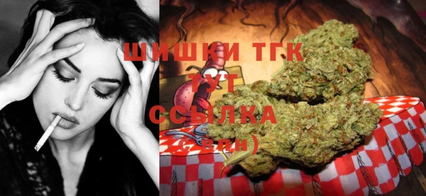 сатива Алзамай