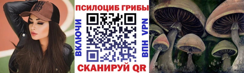 Псилоцибиновые грибы ЛСД  Рубцовск 